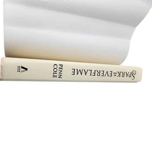 Spark of the Everflame Book B Penn Cole Romantasy Fantasy Novel Hardcover - Picture 2 of 14